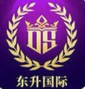 东升国际